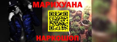 сатива Тверь