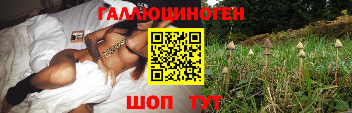 Псилоцибиновые грибы Magic Shrooms Омск