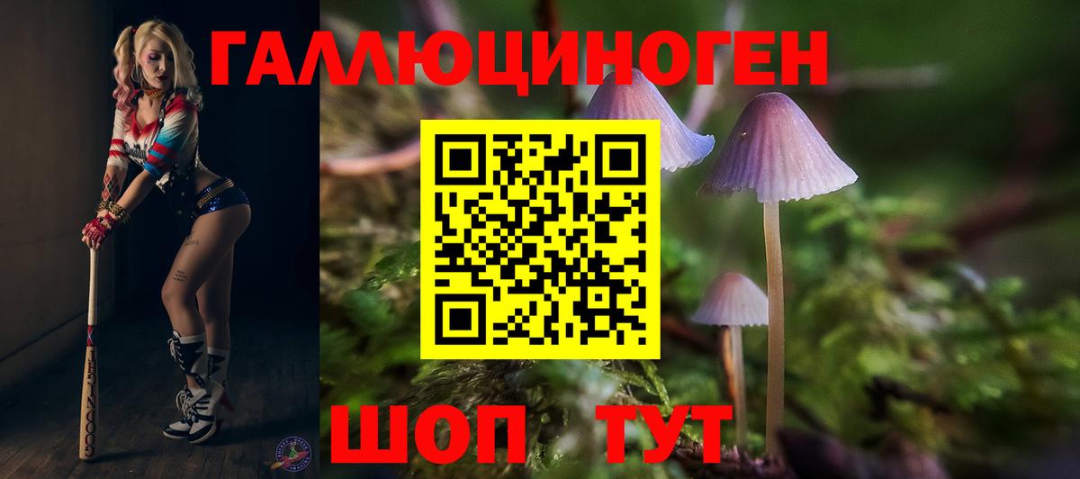 Омск  Псилоцибиновые грибы Psilocybine cubensis  Галлюциногенные грибы мицелий  Вход с VPN 